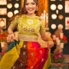 Dastak - Multi Color Lehenga Choli Formal