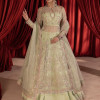 Paalki - Pistachio Peshwas with Lehenga & Dupatta