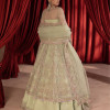 Paalki - Pistachio Peshwas with Lehenga & Dupatta